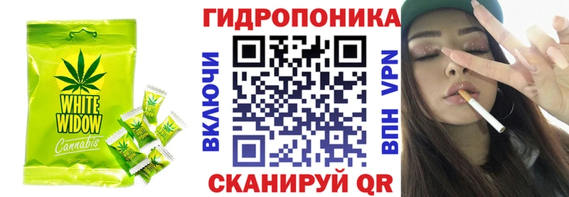 где купить наркотик  Каргополь  Cannafood конопля 